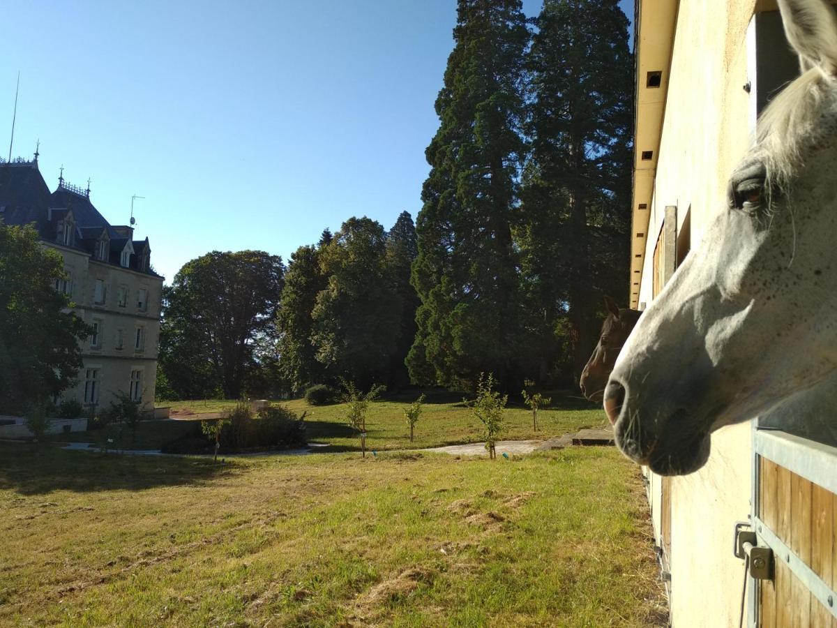 فندق Chateau De St Alyre Sanssat المظهر الخارجي الصورة